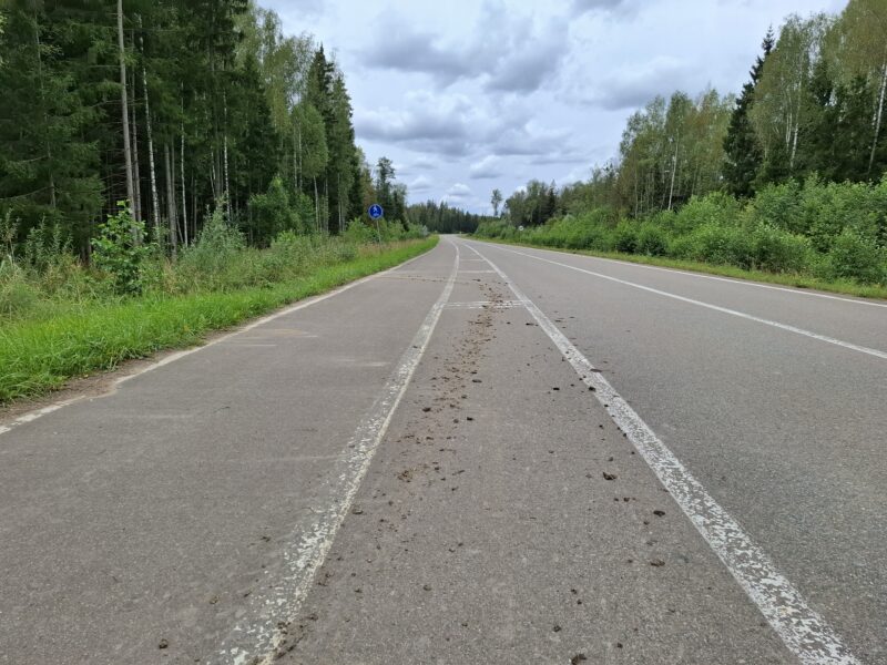 Дорожки в парке Парк Патриот, состояние на 22 августа 2025 по отзыву, фото 4. 